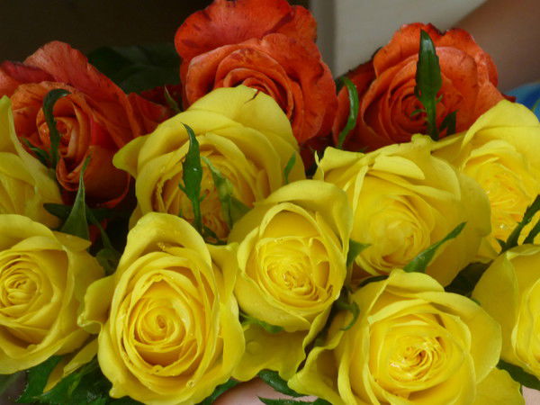 Тамара Поддубная