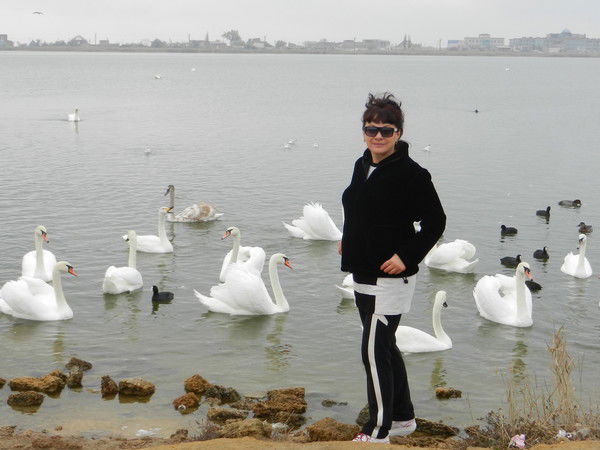 Марина Сергиенко