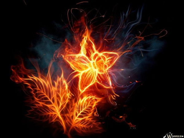 Оксана Горохова