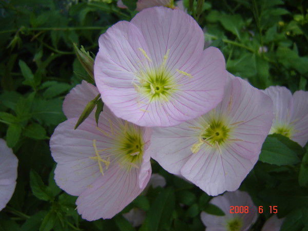 Марина Шерстюк