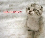 Алексей Смирнов