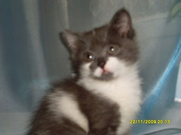 Леонид Печёнкин