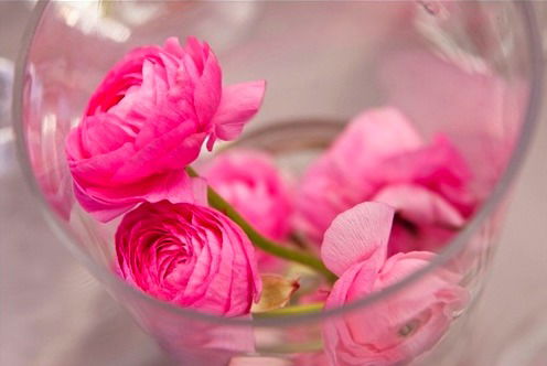 Гулжайна Шербатшаева