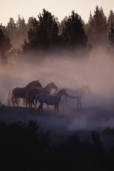 Надежда Поплавская