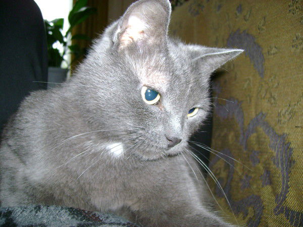 Иван Сухочев