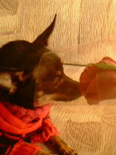 Екатерина **********