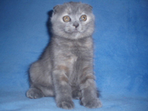 Татьяна Александрова