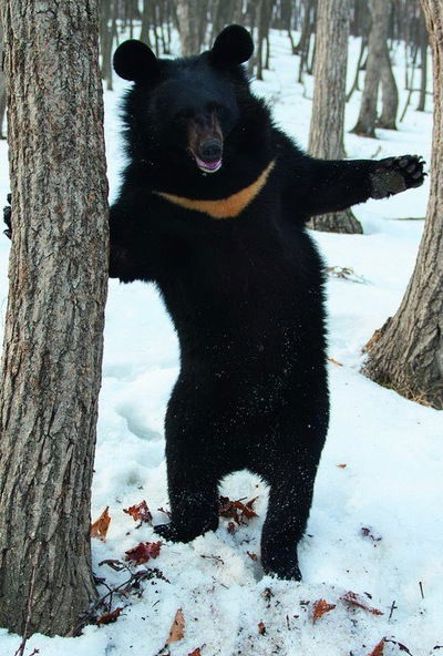 Саша Живоглазов