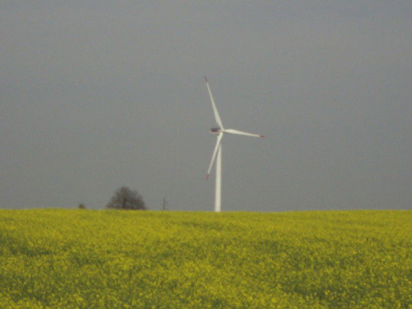 Артем Радюк