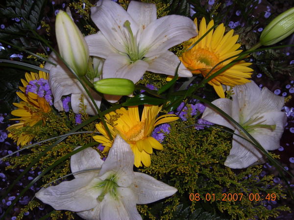 .татьяна .чубко