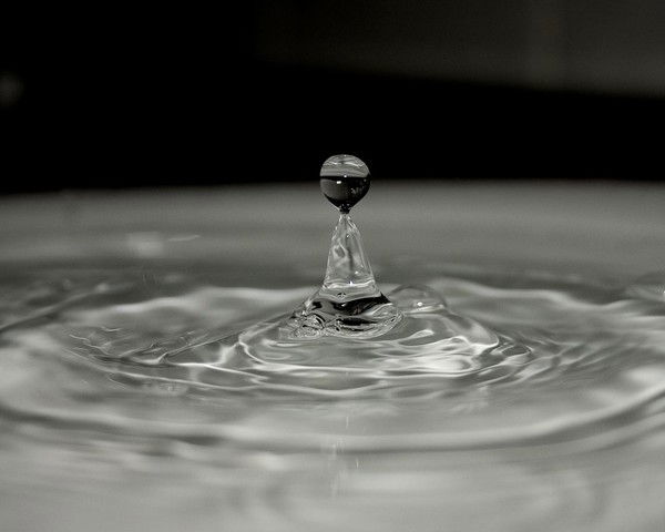 Лариса Сычева (Филатова)