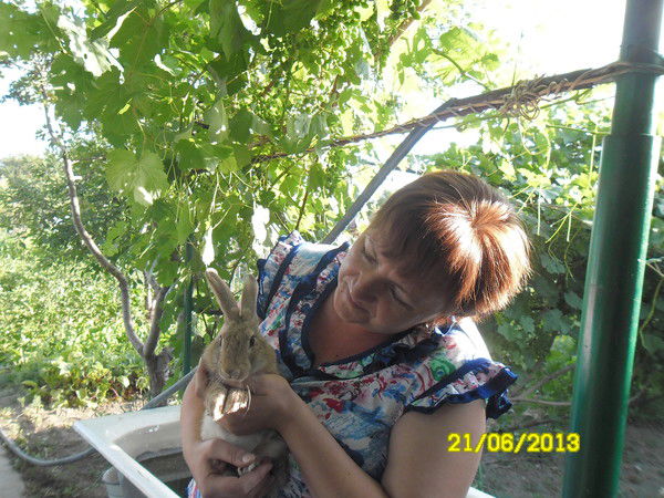 Наталия Апостолиди