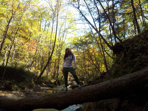 Елена Красильникова