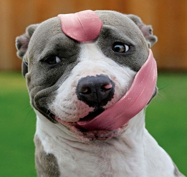 Надежда Зюркалова