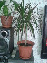 Акмарал Инкарбекова