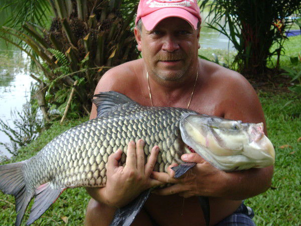 Дмитрий Попов