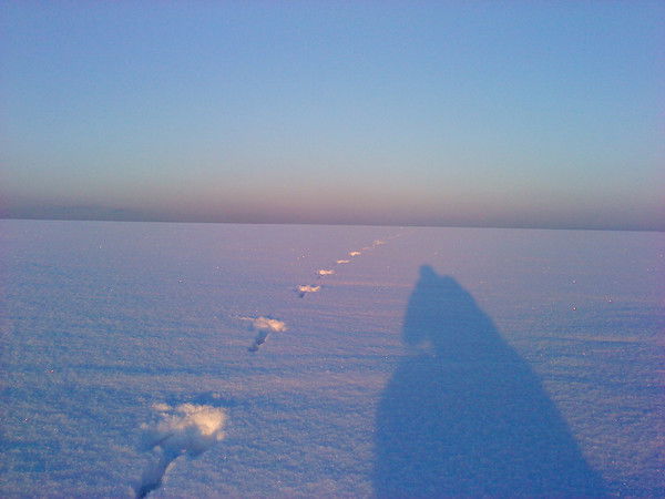 Евгений Тукмачев