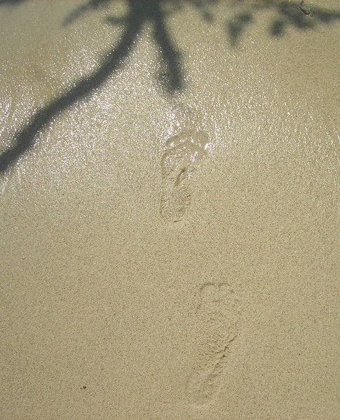 Марина Турчинова