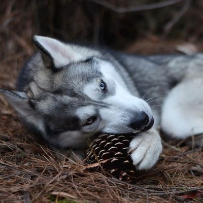 Тёма Изотов