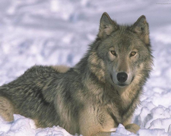 Глеб Бартошкин