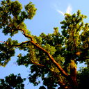 Жонибек Пулотов