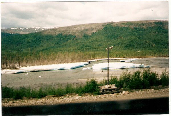 Алексей Сибирь