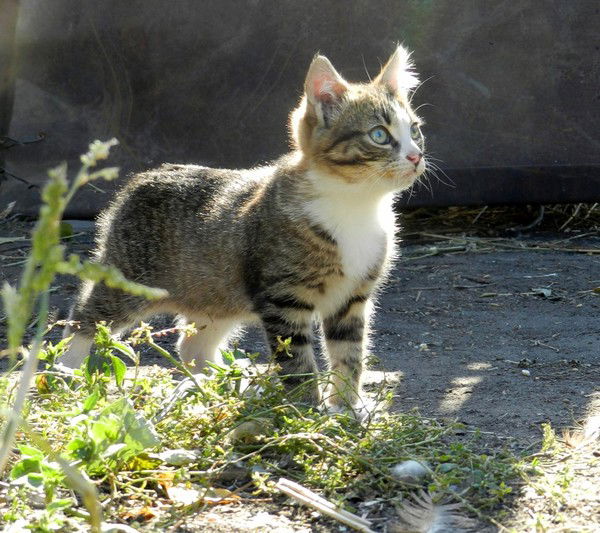 Галина Рудакова