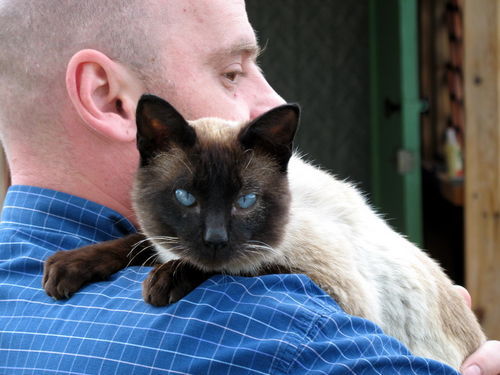 Сергей Никулин