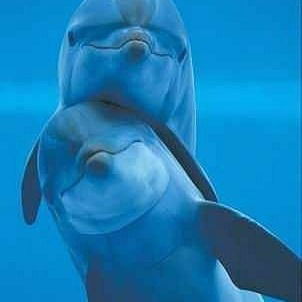 Гульнара Хасанова