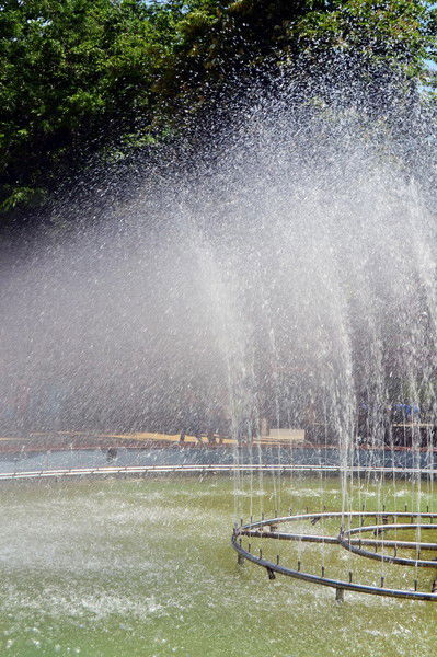 Мария Савчук