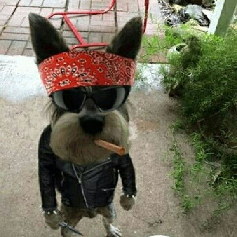 Давыдыч!!! San-Remo!!!