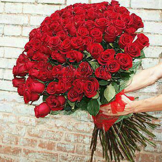 Аида Гамидова