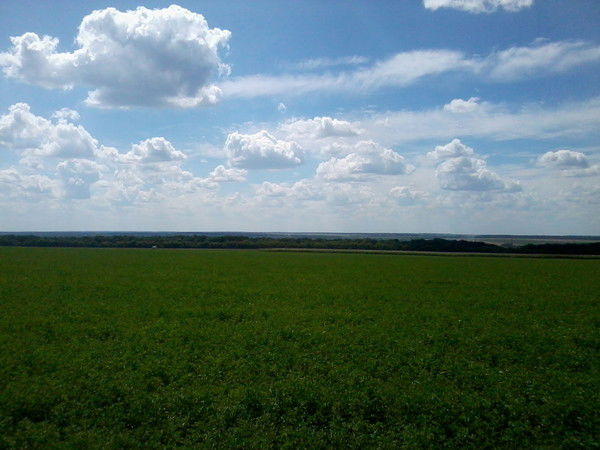 Анастасия Деликатна