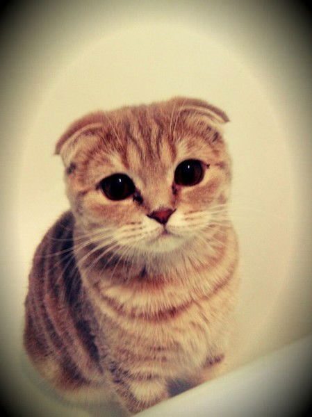 Надя Иванякова