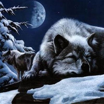 Константин Кара