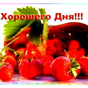 Светлана Бенькович
