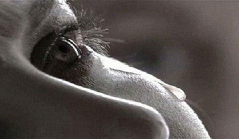 Наталья Гончарова