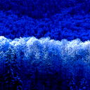 Алексей Евглевский