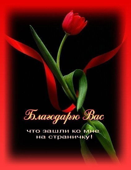 Айнур Тусупбаева