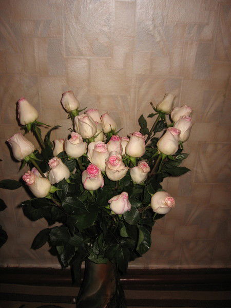 Татьяна Астахова