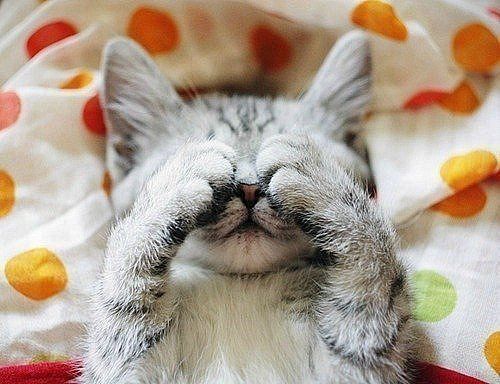 Елена Городничева