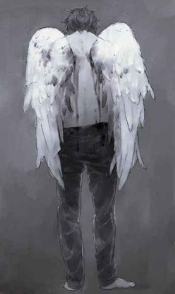 Миша Мелешко