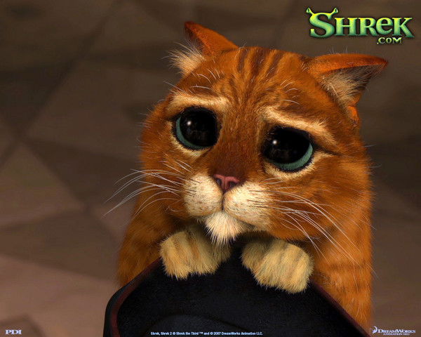 Евгений Соколов