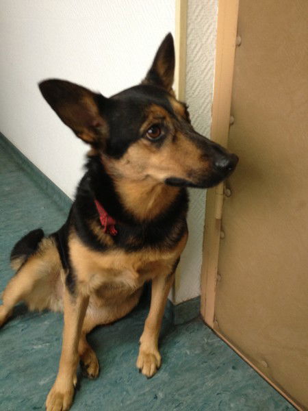 Юлия Уманец