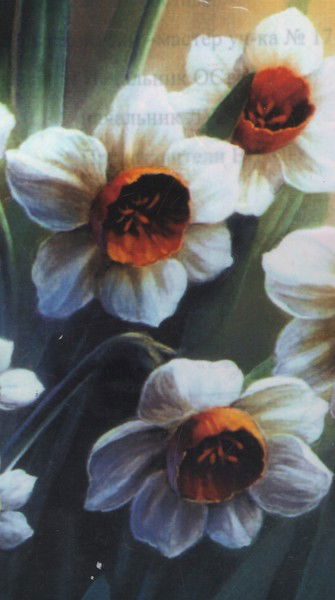 Светлана Гафарова