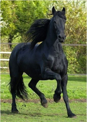 Бахытжан Абдразахов