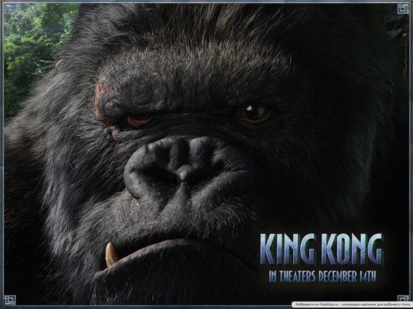 Николай Кулаков