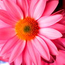 Бухгалтерия Европласт