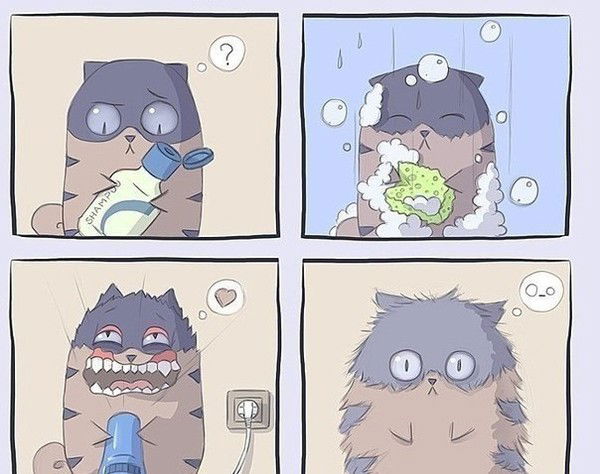 Анна Егорова