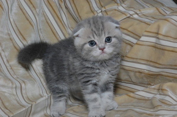 Наталия Артемова